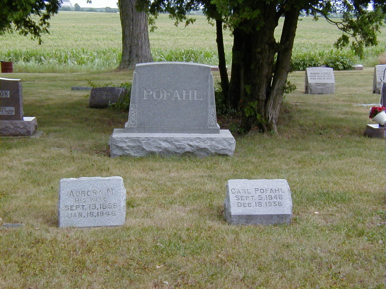 Graveyard Carl & Aurora Pofahl